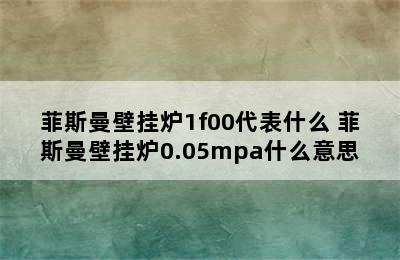 菲斯曼壁挂炉1f00代表什么 菲斯曼壁挂炉0.05mpa什么意思